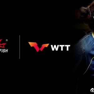 ˫���ΪWTT����ƹ��ȫ��������