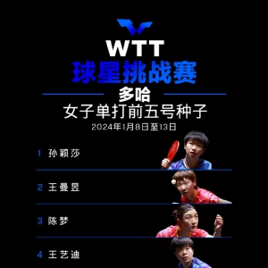 #WTT������ս�����վ2024#