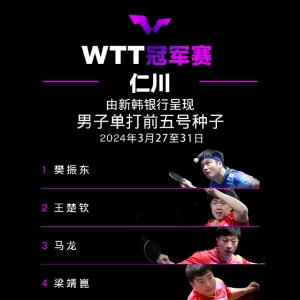 #WTTʴھ2024#