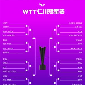 #WTTʴھ2024#